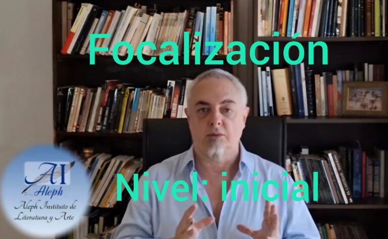 Tipos de Focalización: punto de vista espacial.