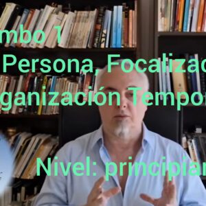 Combo1: Tipo Persona, Focalización y Organización Temporal.